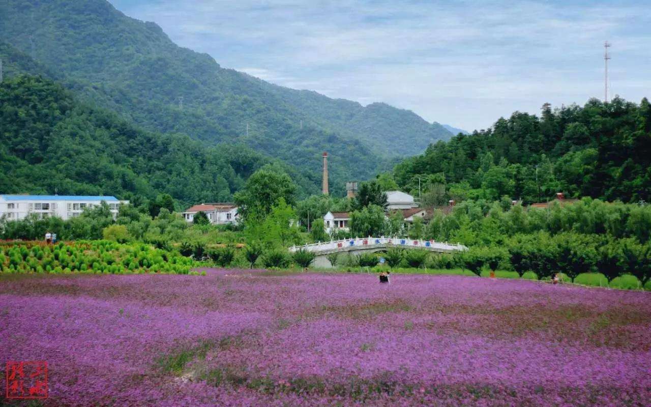 ​行情下行，旅游业如何保持上行？(图1)
